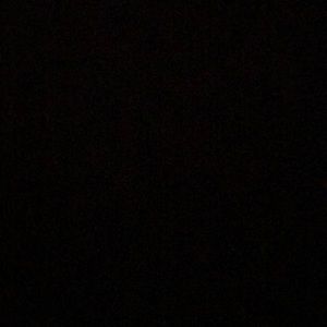 Meet your Posher, Aries